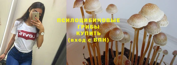 наркотики Богородск
