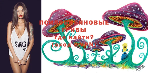 наркотики Богородск